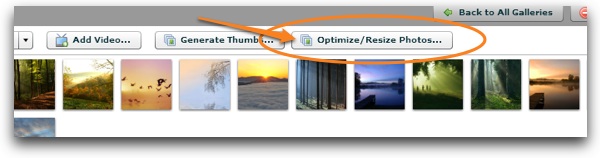 Optimize/Resize Button