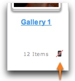 gallery icon