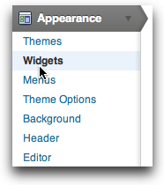 Widgets menu option